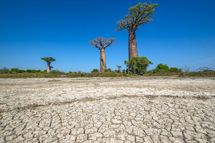 Madagascar drought 